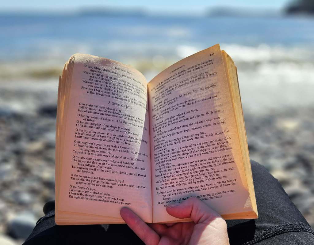 An open book with the ocean in the background.